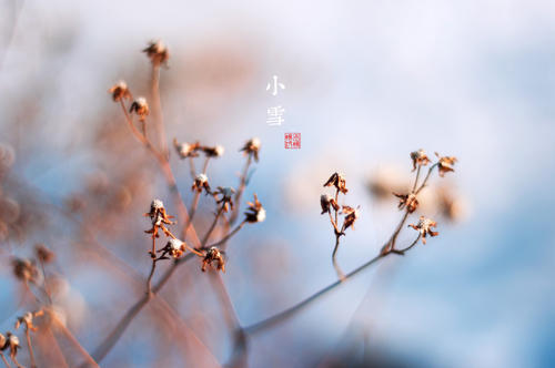 雪节迎接短信1