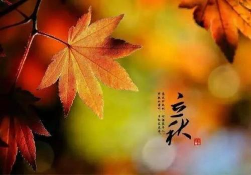 夏天李秋迎接短信2