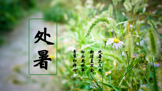 和夏天相关的问候