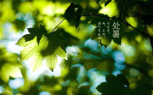 和保费相关的问候1