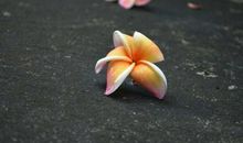 得不到友情的句子