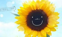 友情考验过关的句子