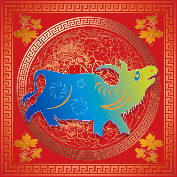 年度1年级