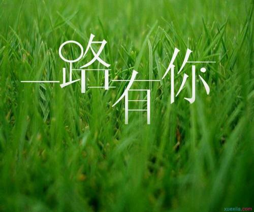 暗恋同事的段落