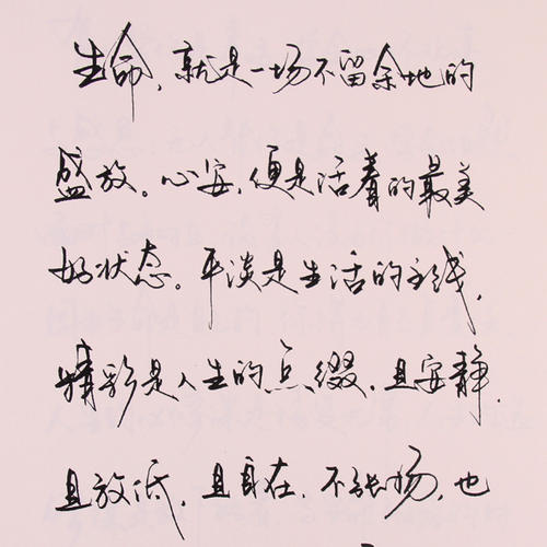 摘抄