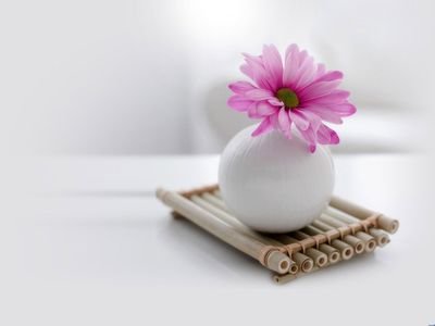 友谊的句子和翻译