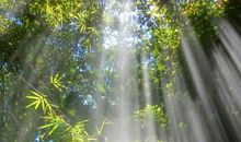 带娃心烦的句子说说心情