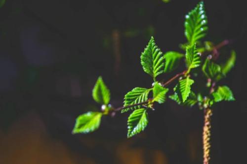 周末创意问候短信2