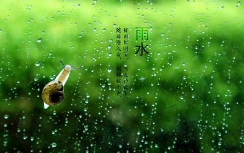 雨水感情问候短信1