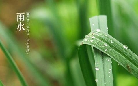 雨水感情客户问候短信