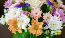 对友情感触颇深的句子