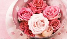 财富比友情重要的句子