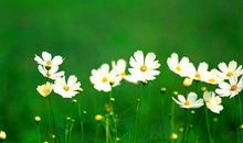 友情破灭不后悔的句子