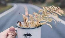 佛家写友情的句子