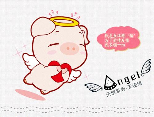 大学友谊的句子遇到美丽