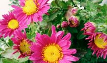 对友情比较感动的句子