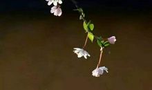 很丧的句子关于友情