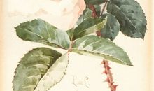 用金钱衡量友情的句子