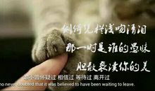 闺蜜间的友情的句子英语