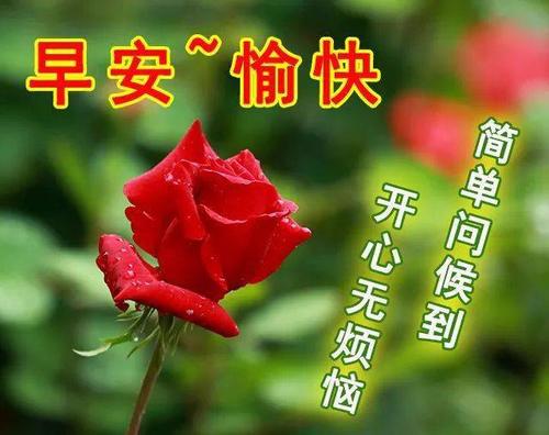 2020年判刑