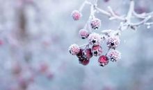 冬至祝福可爱 冬至给女朋友说的暖心话