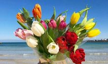 逢喜事开心的句子