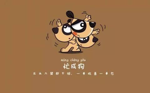搞笑说晚安