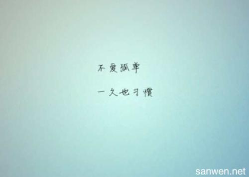 孤独的句子