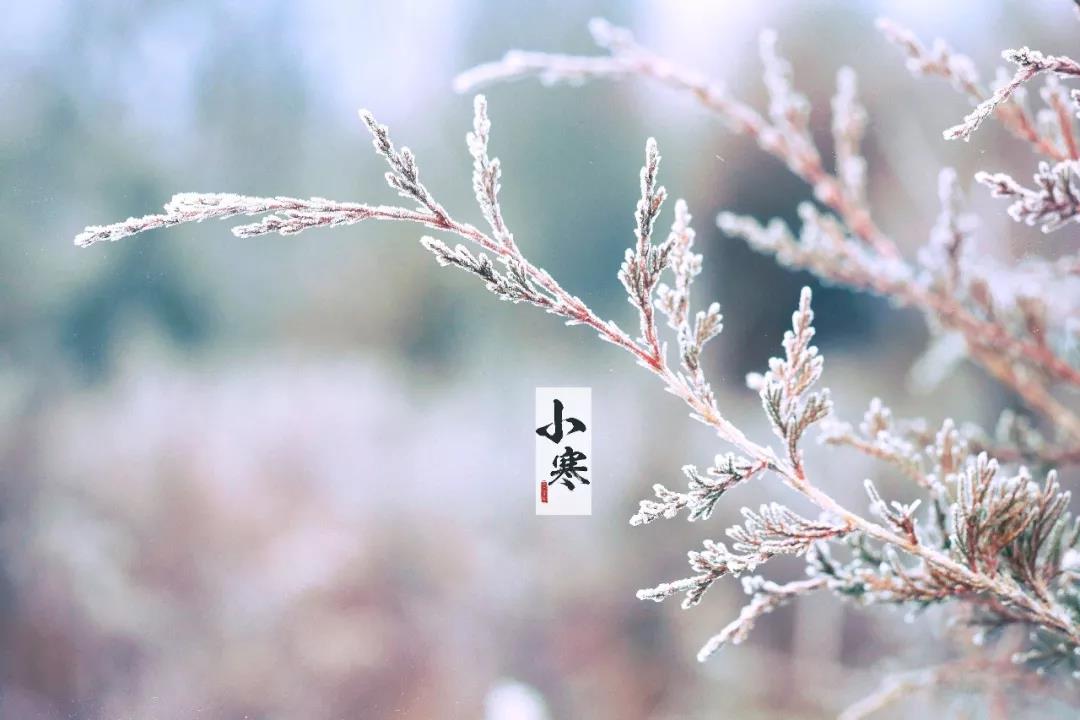 小冷癫痫发作的朋友圈美学句子1