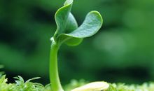 关于心情短句说说