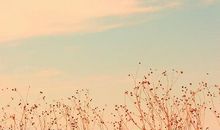 有关于青春友情的句子