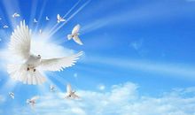 致友情的唯美短句子