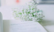 唯美清新的个性签名