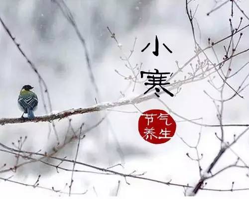 小冷土的诗1