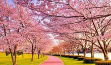 朋友圈晒幸福的说说