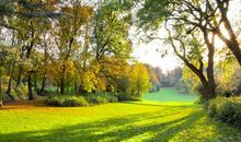 情人节送给爱人的句子