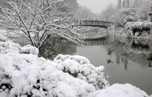 在雪1上的短文案例1