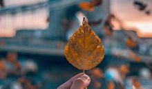 过年的心酸句子大全