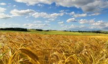 暗恋的唯美句子