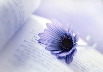 15.我喜欢一个微弱的友谊，就像茶中毒一样。就像一颗微弱的心，就像把你的心脏那样作为清泉。就像一阵生活，静静地留下痕迹。像触感的景观一样，让我在远处思考你。