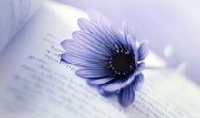 回忆友情美好的句子