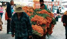 缺乏安全感的伤感句子