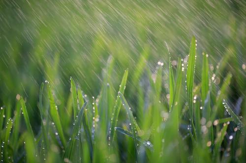 赞美春雨