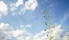 喜欢男神的暗恋句子