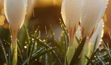 熬夜加班的开心句子