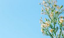 陪你细水长流的暗恋句子