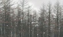 爱世界感到开心