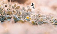 描写小寒的抒情句子