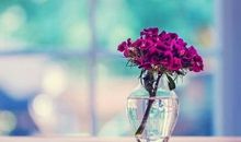 友情感谢相遇唯美押韵句子