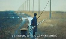 绝情的失恋句子